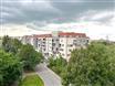 photo_21